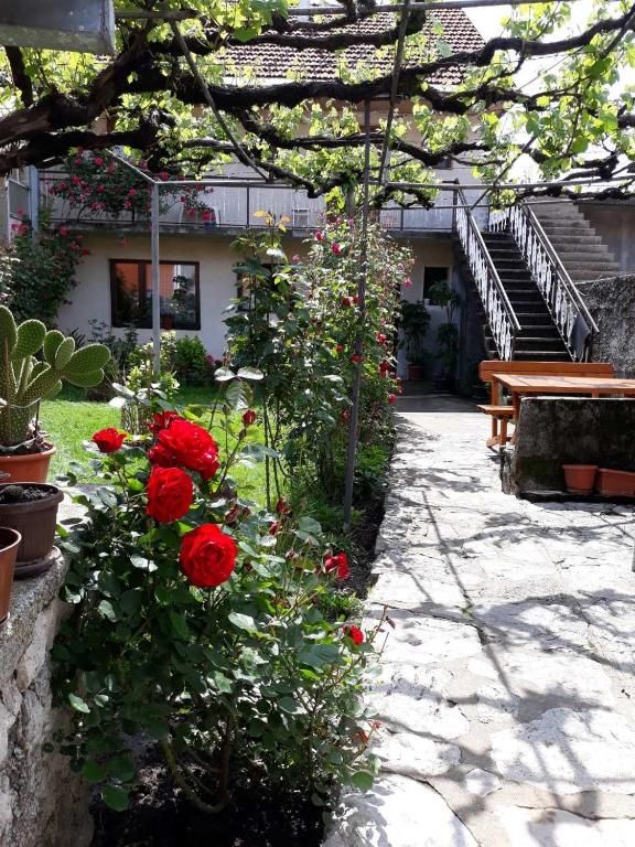 Апартаменты Apartment Dejan Цетине-51