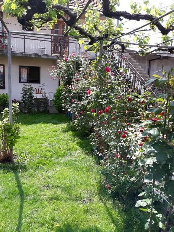 Апартаменты Apartment Dejan Цетине-52