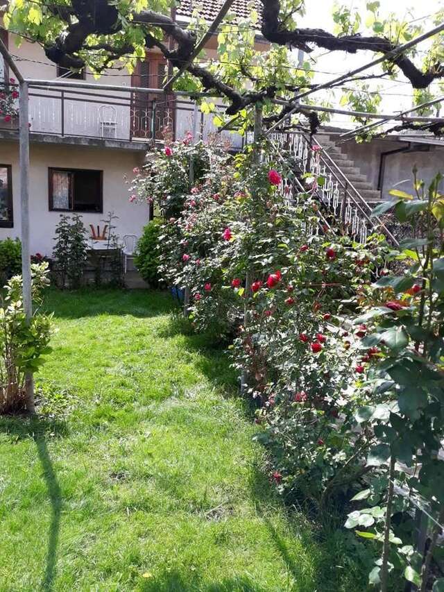 Апартаменты Apartment Dejan Цетине-24